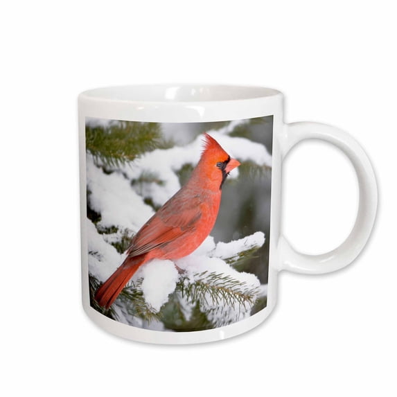 3drose, Northern Cardinal in Balsam Fir Tree in Winter., 11oz Mug