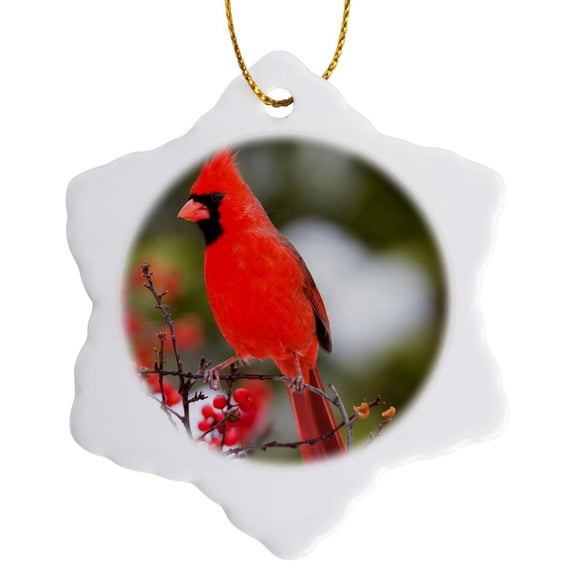 3drose, Northern Cardinal Male in Common Winterberry Bush in Winter, Illinois, 3 inch Snowflake Porcelain Ornament