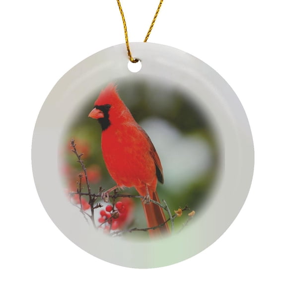 3drose, Northern Cardinal Male in Common Winterberry Bush in Winter, Illinois, Circle Porcelain Ornament