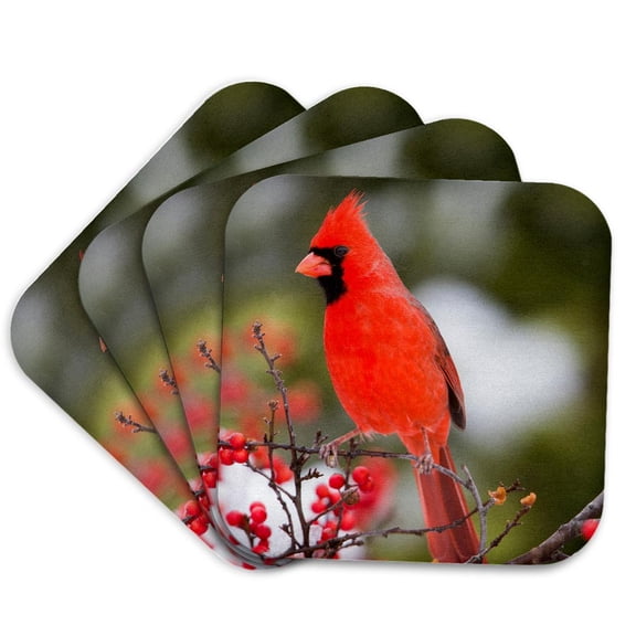 3drose, Northern Cardinal Male in Common Winterberry Bush in Winter, Illinois, Set of 4 Coasters - Soft