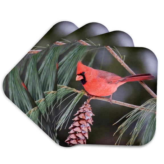 3drose, Northern Cardinal Male in White Pine Tree, Marion, Illinois, Usa., Set of 4 Coasters - Soft