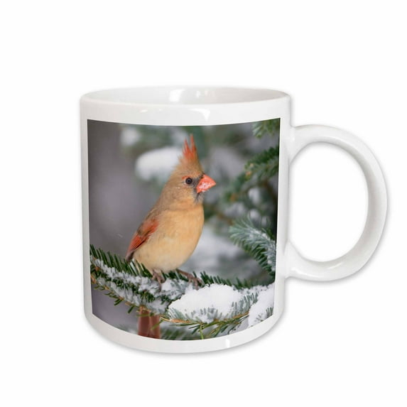Northern Cardinal in Balsam fir tree in winter, Marion, Illinois, USA. 11oz Mug mug-209183-1