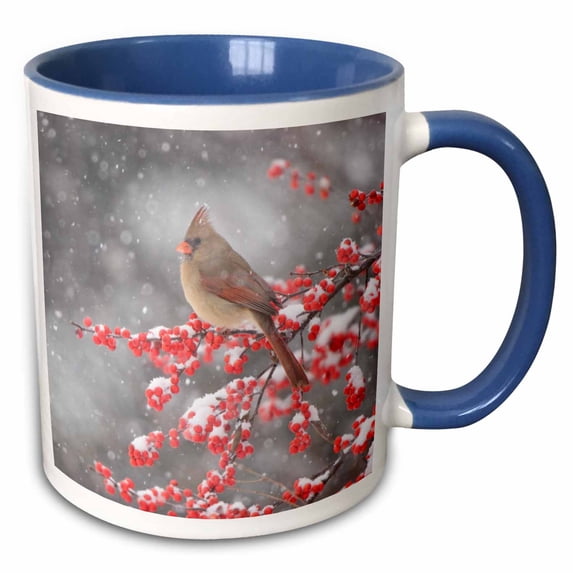 Northern Cardinal in Illinois, USA. 15oz Two-Tone Blue Mug mug-207580-11