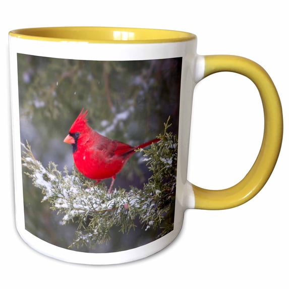 Northern Cardinal in Keteleeri Juniper tree in winter, Marion Co. IL 15oz Two-Tone Yellow Mug mug-208119-13