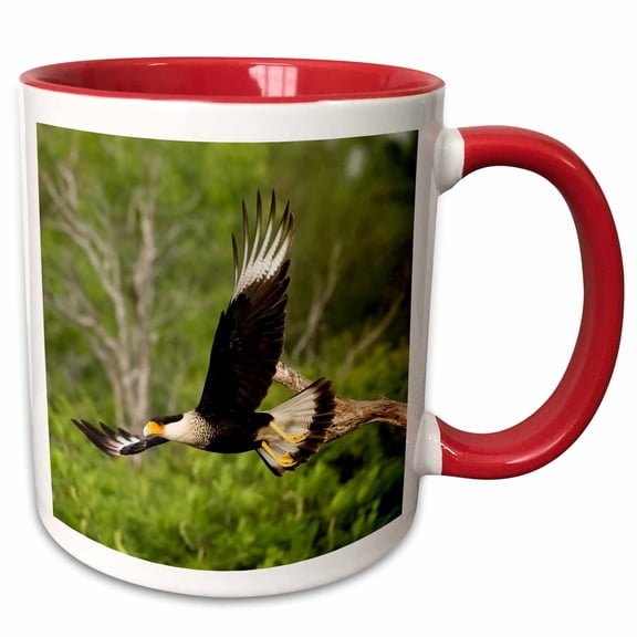 3drose, Northern Crested Caracara, Texas, Usa, 11oz Two-tone Red Mug