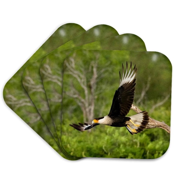 3drose, Northern Crested Caracara, Texas, Usa, Set of 4 Coasters - Soft