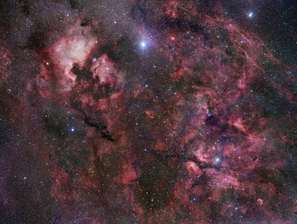 Northern Cygnus Canvas Art - Robert GendlerStocktrek Images (16 x 12)