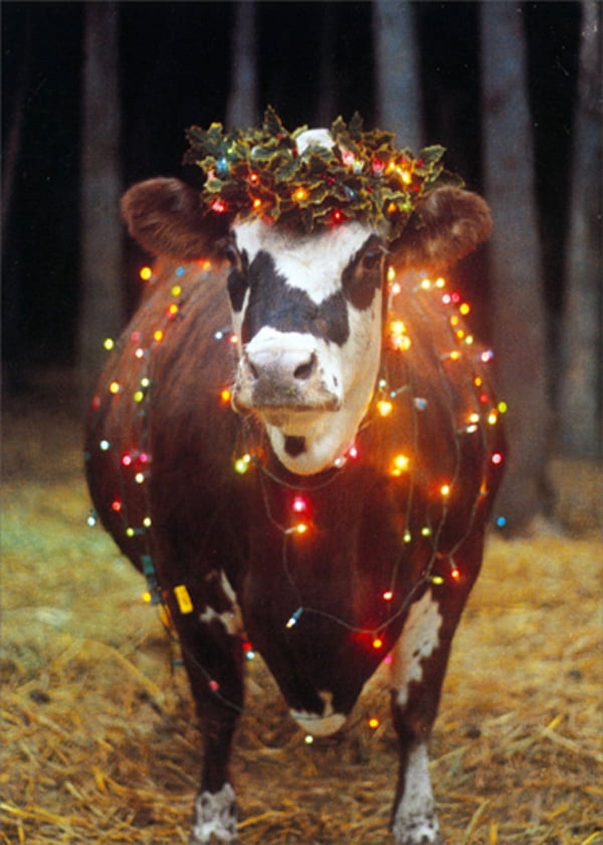 white christmas dresses Festive Cow with Santa Hat 10