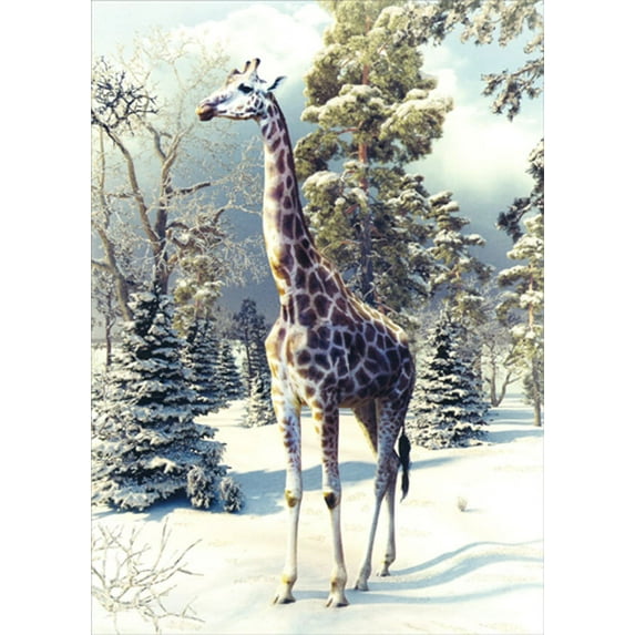 Northern Exposure Giraffe Walking : Snow Covered Trees Box of 12 Christmas Cards