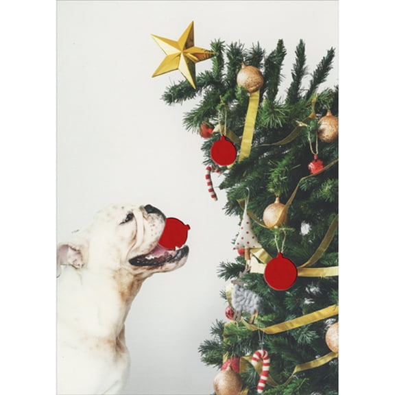 Northern Exposure White Bulldog with Red Foil Ornament in Mouth Near Bending Tree Box of 12 Humorous / Funny Christmas Cards