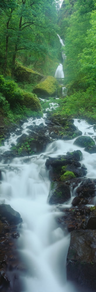 Northern Falls at Silver Falls State Park Salem Oregon Canvas Art - Panoramic Images (27 x 9)