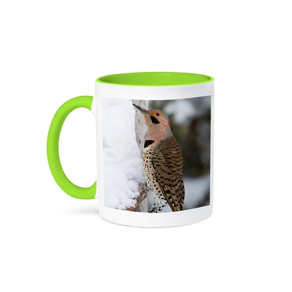 3dRose, Northern Flicker male in winter, Marion, Illinois, USA., 15oz Two-Tone Green Mug