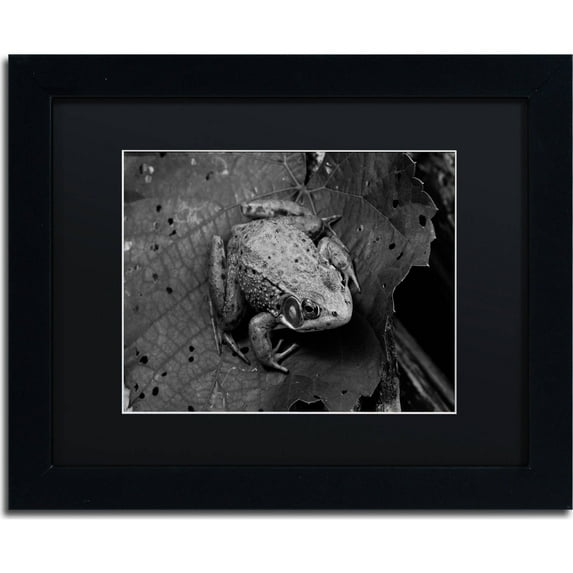"Northern Green Frog" Canvas Art by Jason Shaffer, Black Matte, Black Frame