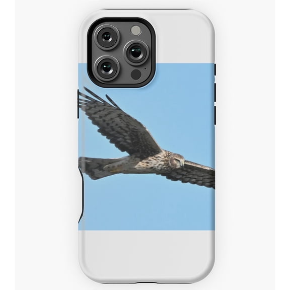 Northern Harrier Bird Art GA1053 Phone Case for iPhone 11 to 17 Pro Max
