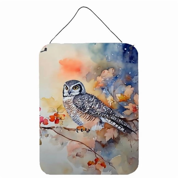 Northern Hawk Owl Wall or Door Hanging Prints