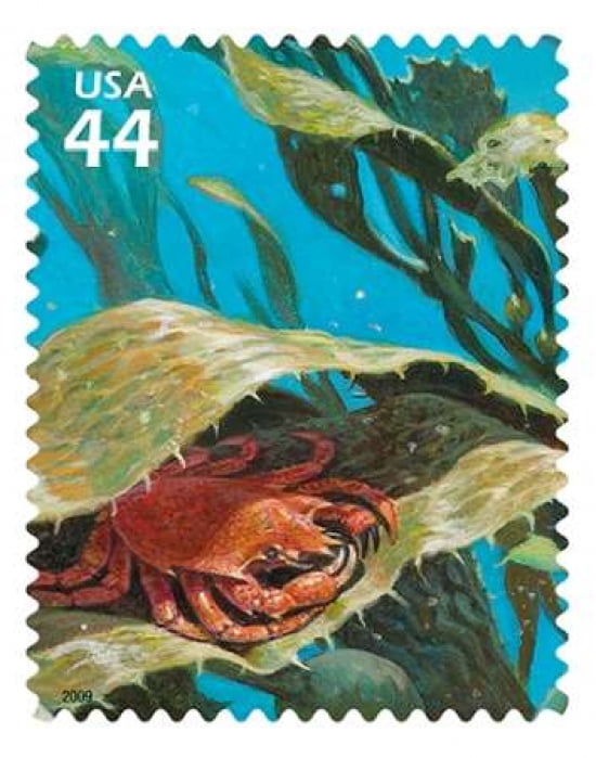 Northern Kelp Crab Canvas Art - US POSTAL SERVICE (22 x 28)