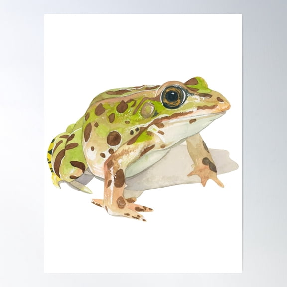 Northern Leopard Frog Poster Wall Art, Modern Wall Decor For Living Room Bedroom, 12x18 UNFRAMED