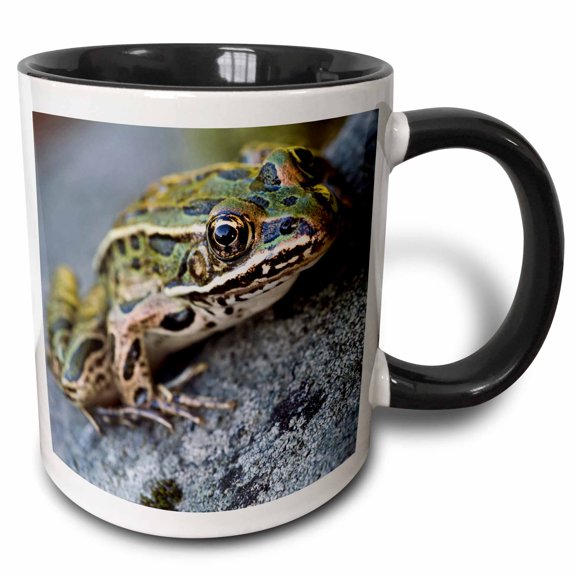 3drose, Northern Leopard Frog, Voyageurs Np, Minnesota - Us24 Rkl0001 - Raymond Klass, 11oz Two-tone Black Mug