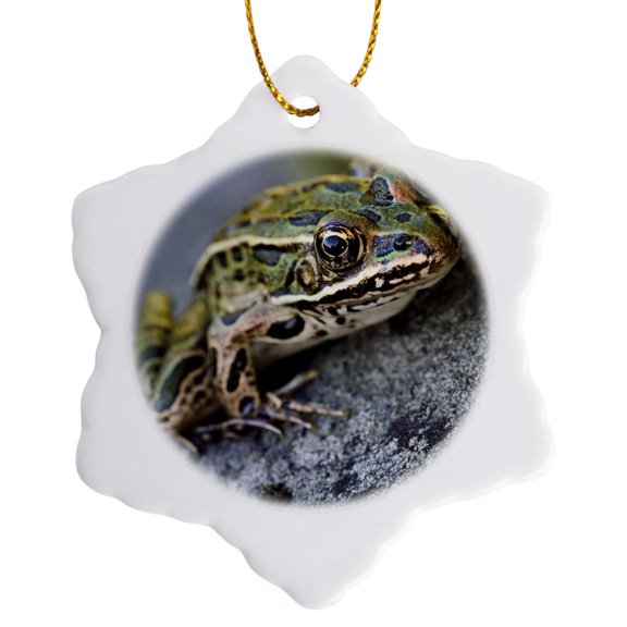 3drose, Northern Leopard Frog, Voyageurs Np, Minnesota - Us24 Rkl0001 - Raymond Klass, 3 inch Snowflake Porcelain Ornament