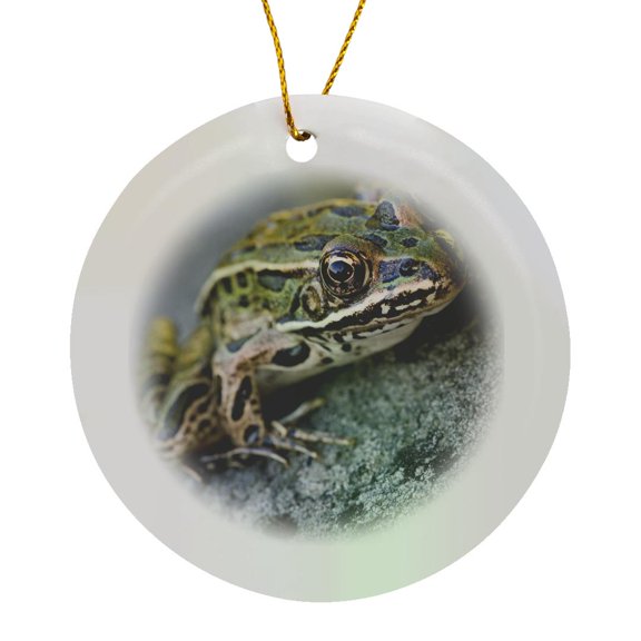 3drose, Northern Leopard Frog, Voyageurs Np, Minnesota - Us24 Rkl0001 - Raymond Klass, Circle Porcelain Ornament