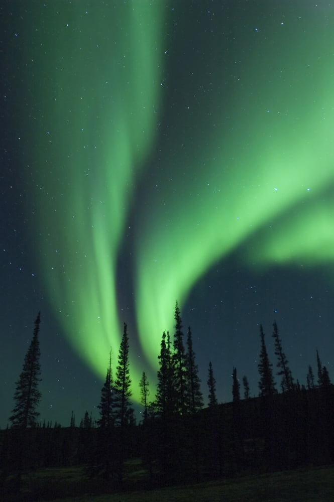 Northern Light Whitefish Lake Northwest Territories Canada Canvas Art - Rebecca Grambo Design Pics (22 x 34)