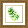 thumbnail image 1 of Northern Lights 20x20 Gold Ornate Wood Framed with Double Matting Museum Art Print Titled - Tropical Icons Palm Frond, 1 of 4