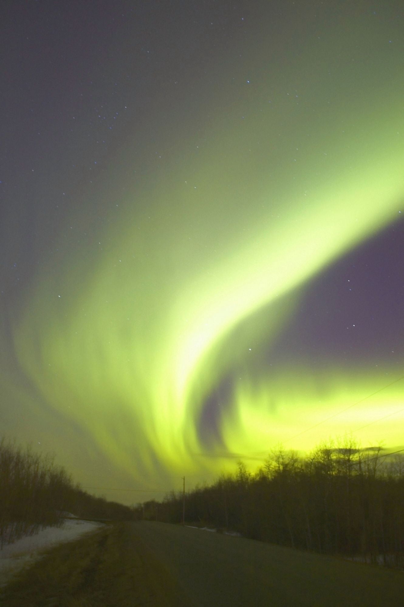 Northern Lights Alberta Canada Canvas Art - Carson Ganci Design Pics (11 x 17)