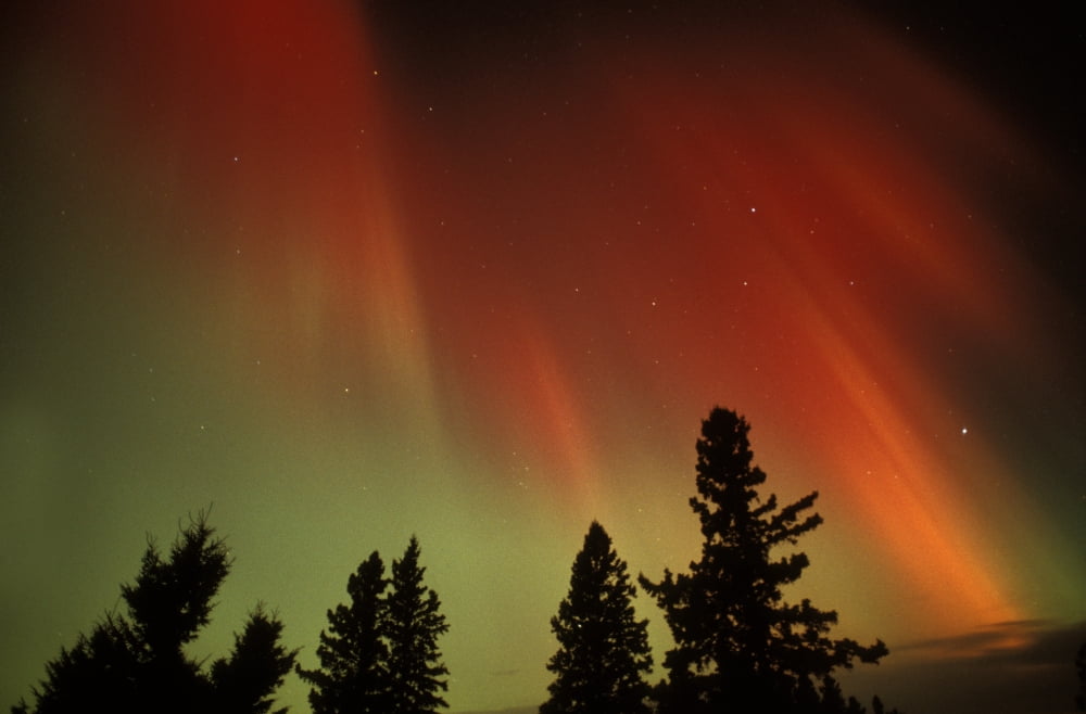 Northern Lights Birds Hill Provincial Park Manitoba Canvas Art - Mike Grandmaison Design Pics (17 x 11)