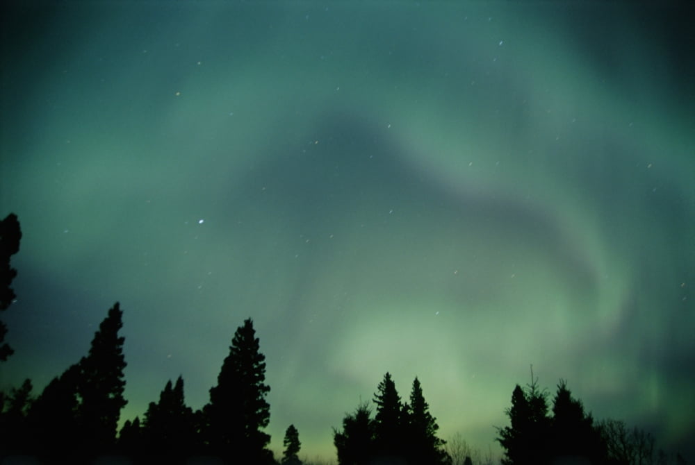 Northern Lights Birds Hill Provincial Park Manitoba Canvas Art - Mike Grandmaison Design Pics (36 x 24)