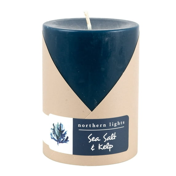 Northern Lights Candles Fragrance Palette Pillar, 3x4, Sea Salt and Kelp