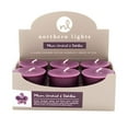 Northern Lights Candles Fragrance Palette Votive 6 Pieces per Box, Plum