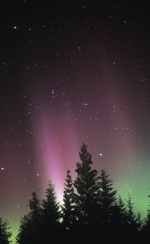 Northern Lights Canvas Art - Sean White Design Pics (22 x 34)