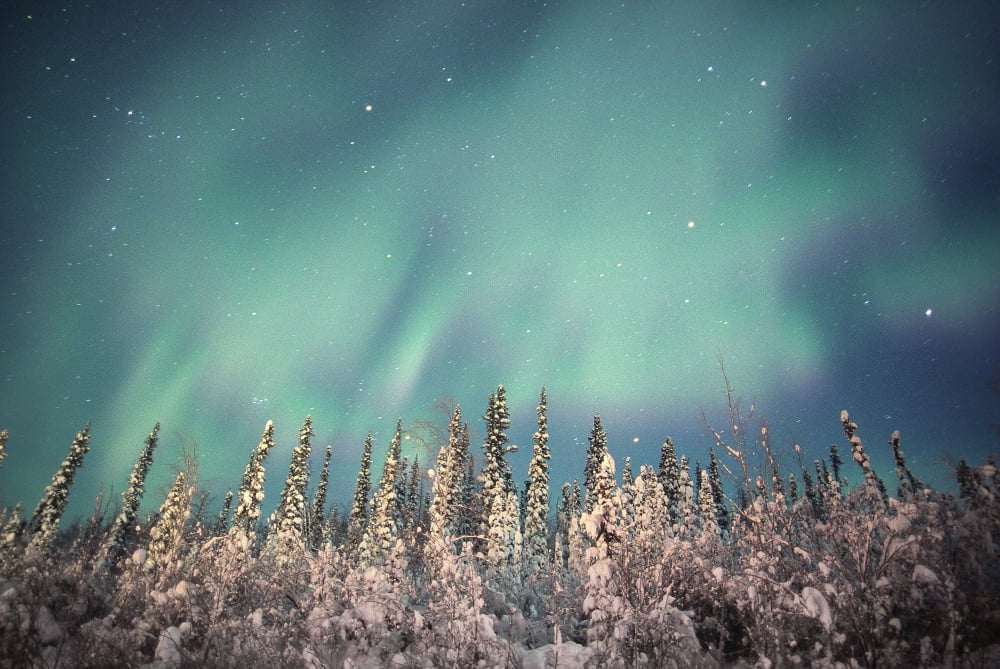Northern Lights Dempster Highway Yukon Canvas Art - Robert Postma Design Pics (34 x 22)