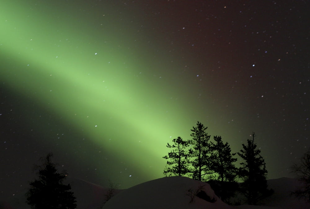 Northern Lights Disappear Behind Scattered Trees Outside Yellowknife Northwest Territories Canvas Art - Dave Brosha Design Pics (18 x 12)