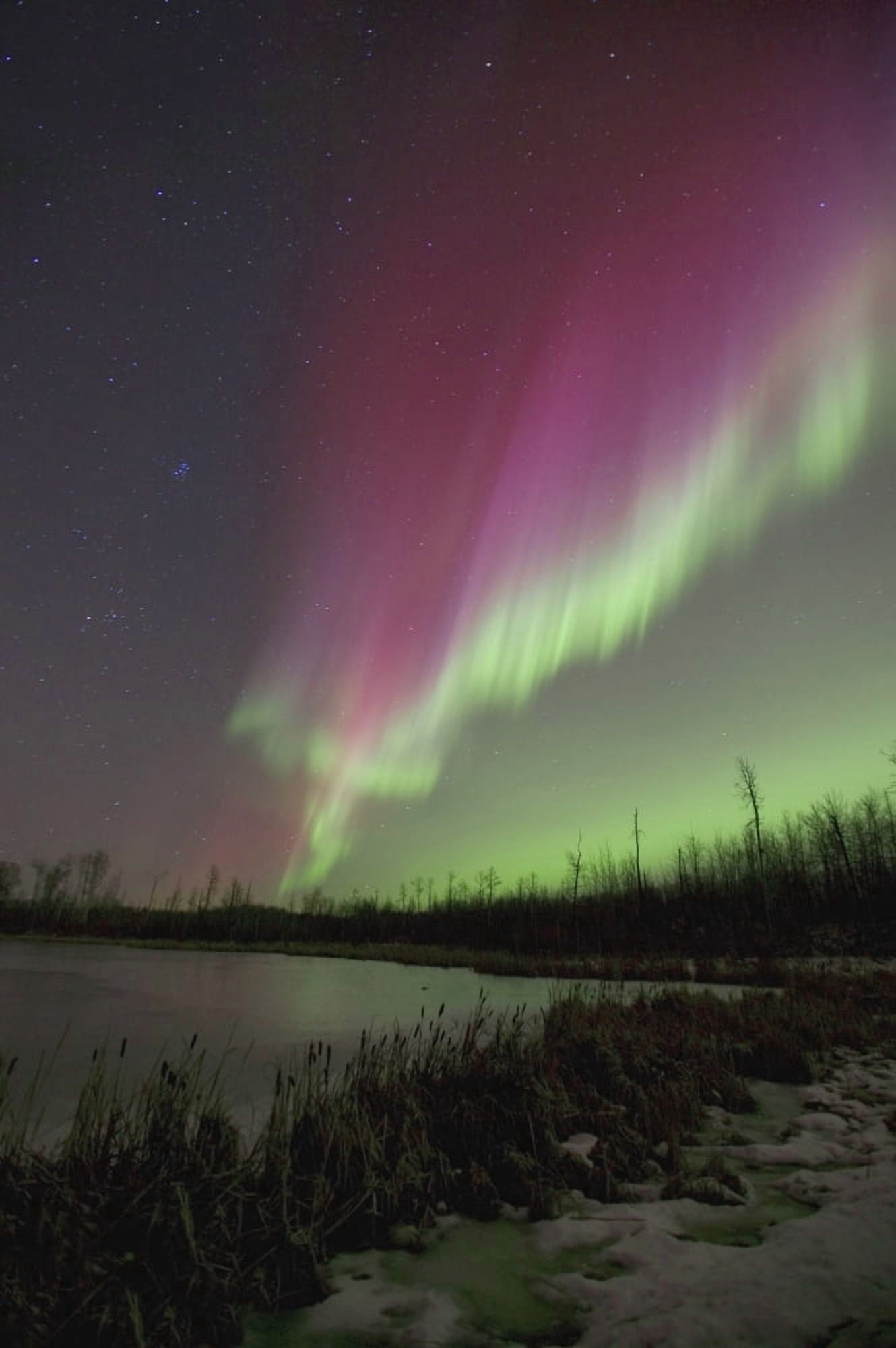 Northern Lights Edmonton Alberta Canada Canvas Art - Carson Ganci Design Pics (11 x 17)