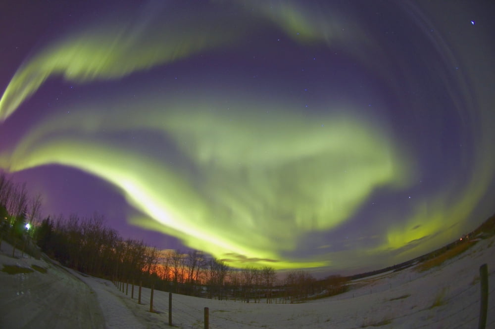 Northern Lights Edmonton Alberta Canada Canvas Art - Carson Ganci Design Pics (17 x 11)