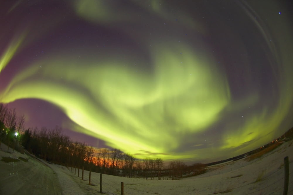 Northern Lights Edmonton Alberta Canada Canvas Art - Carson Ganci Design Pics (17 x 11)