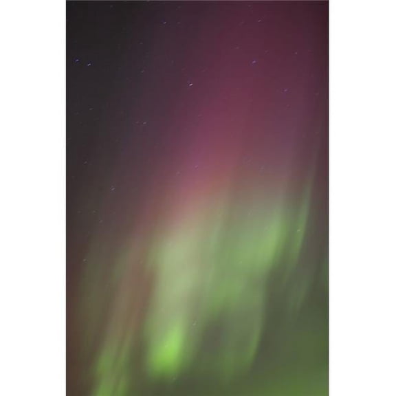 Northern Lights Edmonton Alberta Canada Poster Print by Carson Ganci, 22 x 34 - Large