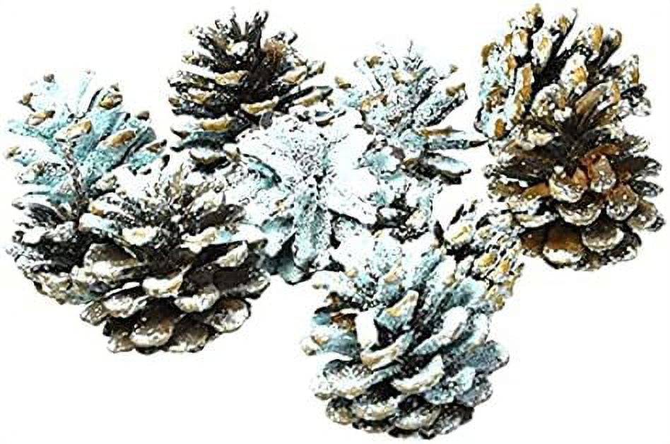 Northern Lights Fire Color Cones.