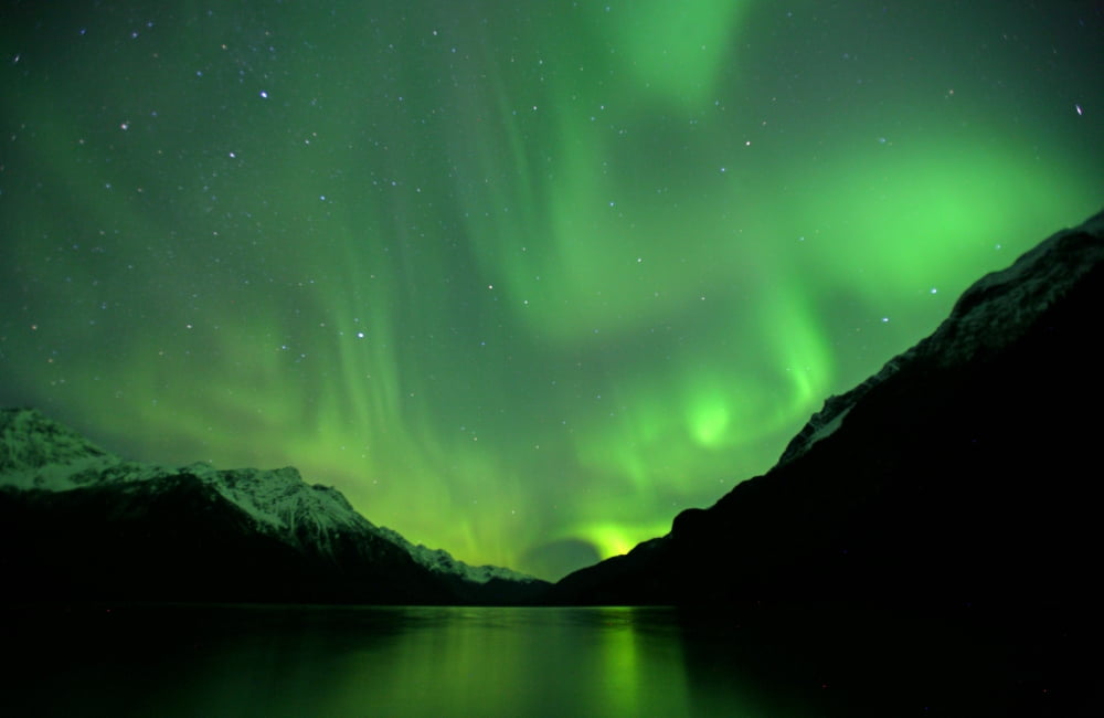 Northern Lights Haines Alaska Canvas Art - Robert Postma Design Pics (36 x 24)