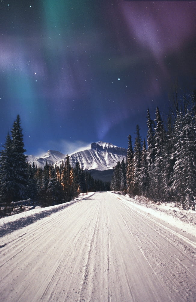 Northern Lights Over A Snowy Road Canvas Art - Carson Ganci Design Pics (11 x 17)