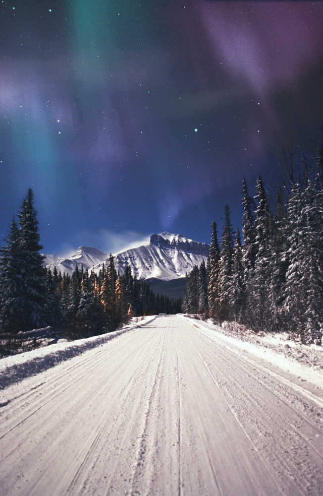Northern Lights Over A Snowy Road Canvas Art - Carson Ganci Design Pics (22 x 34)