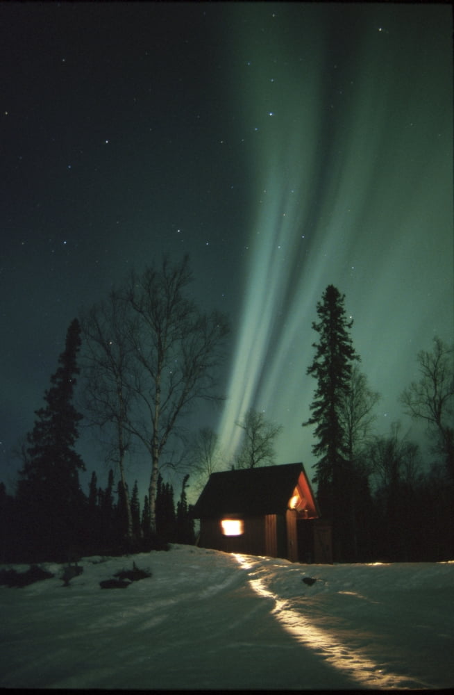 Northern Lights Over Cabin Scotty Lk Petersville Rd Ak Winter Snow Canvas Art - Calvin Hall  Design Pics (11 x 17)