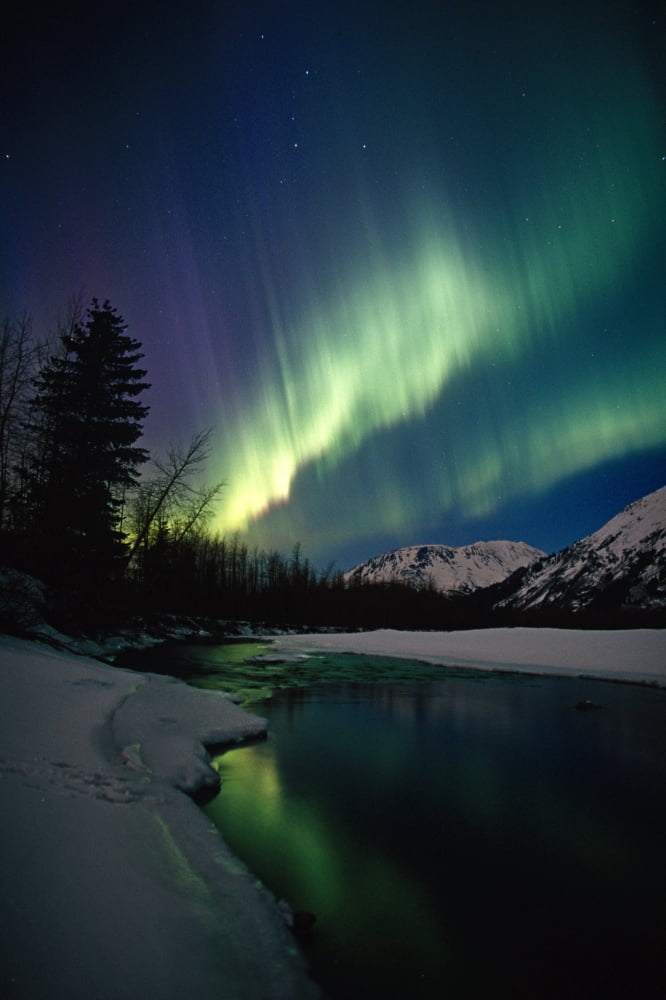 Northern Lights Over Portage River Valley Sc Alaska Canvas Art - Calvin Hall Design Pics (22 x 34)