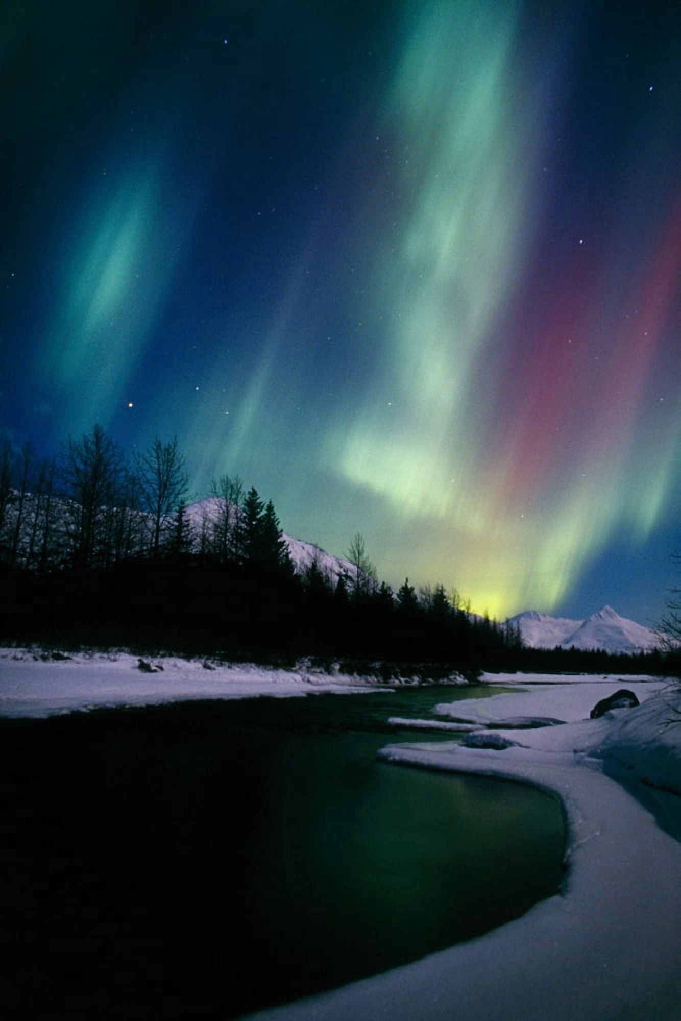 Northern Lights Over Portage River Valley Sc Alaska Canvas Art - Calvin Hall Design Pics (22 x 34)