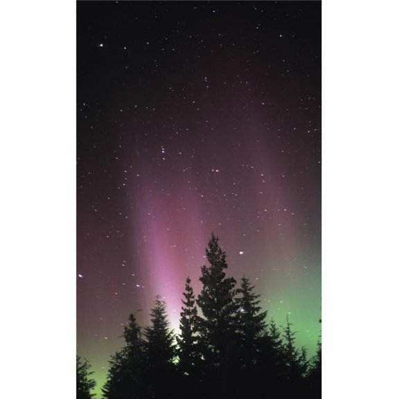 Northern Lights Poster Print by Sean White, 11 x 17