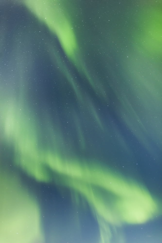 Northern Lights In The Sky Above The Chena Lakes Recreation Area Fairbanks Alaska United States Of America Canvas Art - Kevin Smith Design Pics (24 x 38)