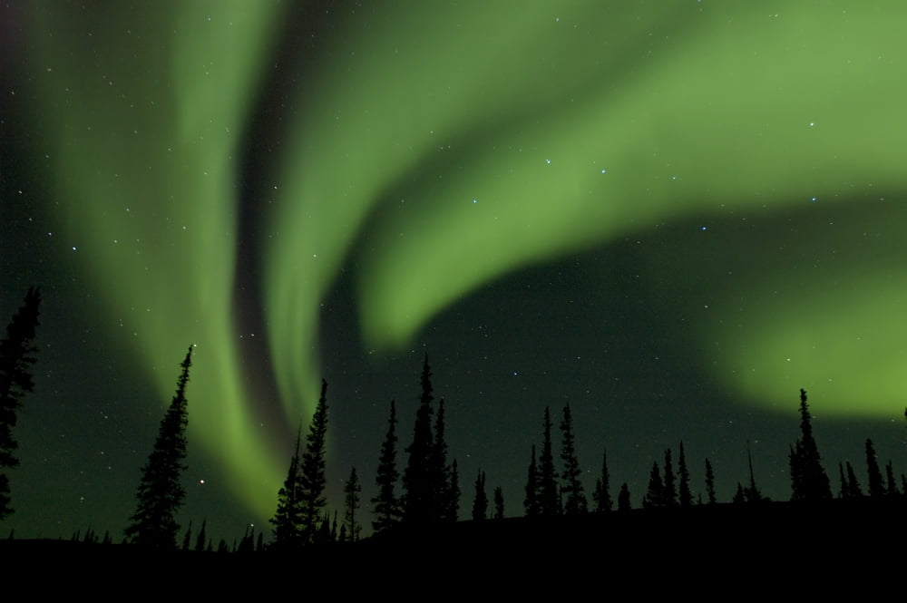 Northern Lights Whitefish Lake Nwt Canvas Art - Rebecca Grambo Design Pics (34 x 22)