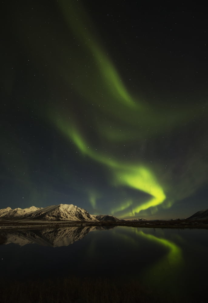 Northern Lights (aurora borealis) over the Dempster Highway and reflected into a pond Yukon Canada Canvas Art - Robert Postma Design Pics (12 x 18)