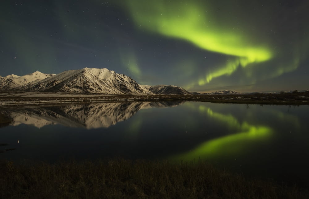 Northern Lights (aurora borealis) over the Dempster Highway and reflected into a pond Yukon Canada Canvas Art - Robert Postma Design Pics (19 x 12)